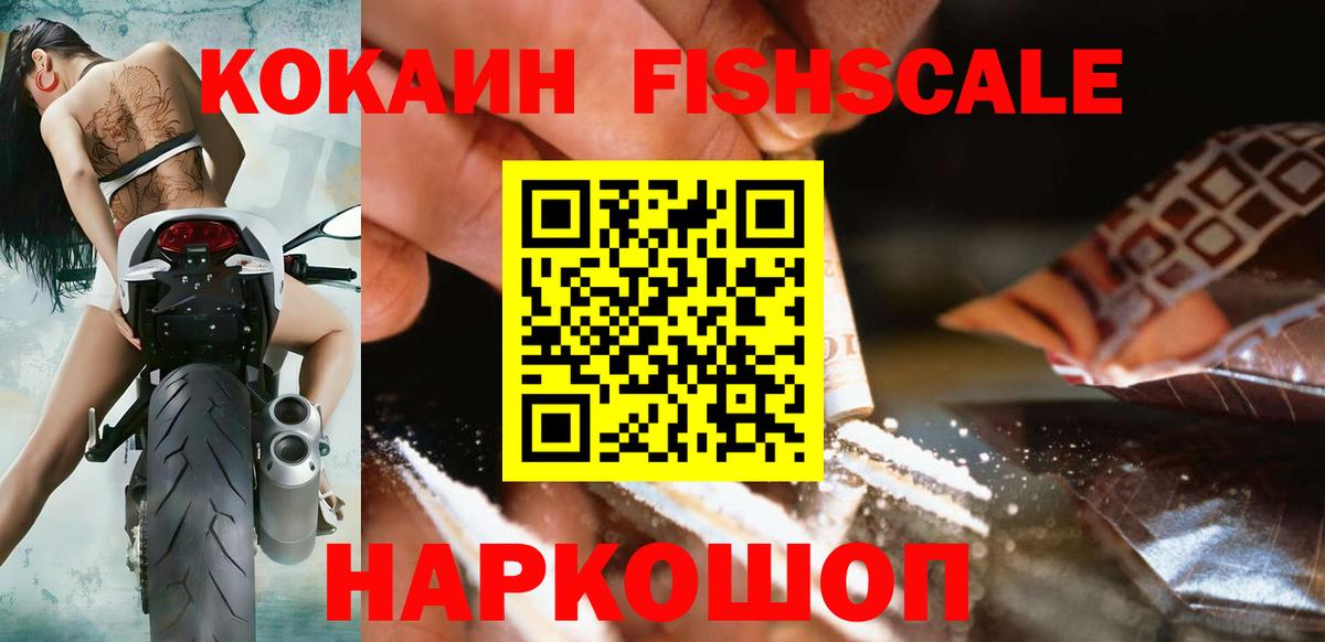Каменка  Кокаин FishScale  COCAIN Fish Scale  Вход с VPN 