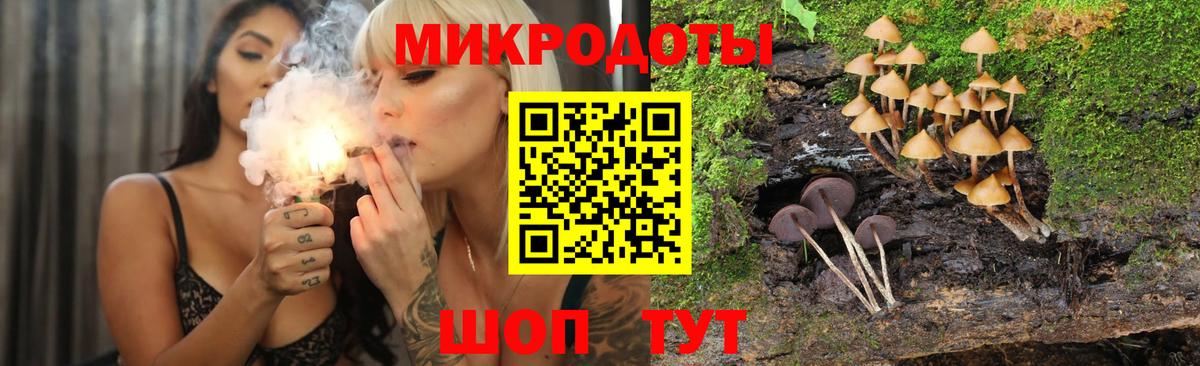 Псилоцибиновые грибы мухоморы Каменка